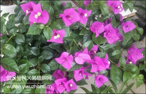 v2-dbc0b2a87128c4fedf6b14d42b99edcf_1440w.jpg?source=172ae18b