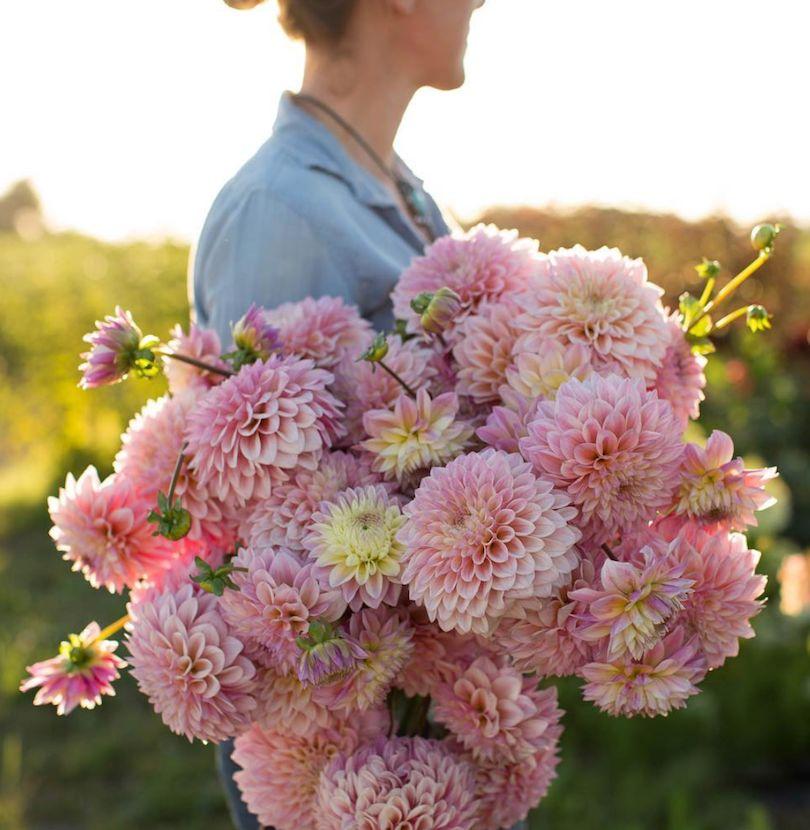 姑娘我真羡慕你