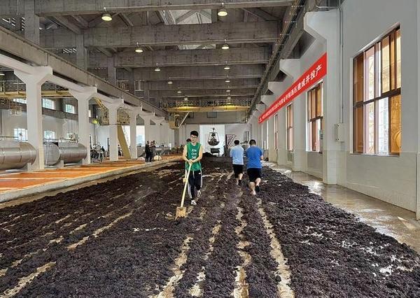 贵州习酒黄金坪制酒区建设项目厂房全部实现投产 知乎