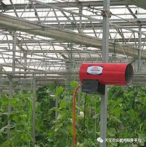 棚室用二氧化碳气肥这些细节要注意
