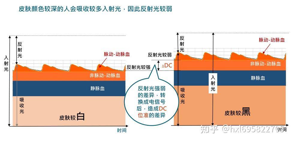 稱為靜息電位.以細胞膜為界.膜外呈正電位,膜內為負電位,並穩定於定數