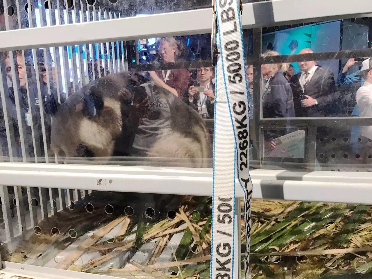 作为航空乘务员,在飞机上遇到过哪些有趣的事