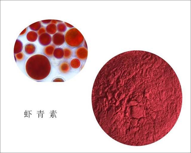 虾青素的营养价值,最有效的抗氧化剂之一 - 知乎