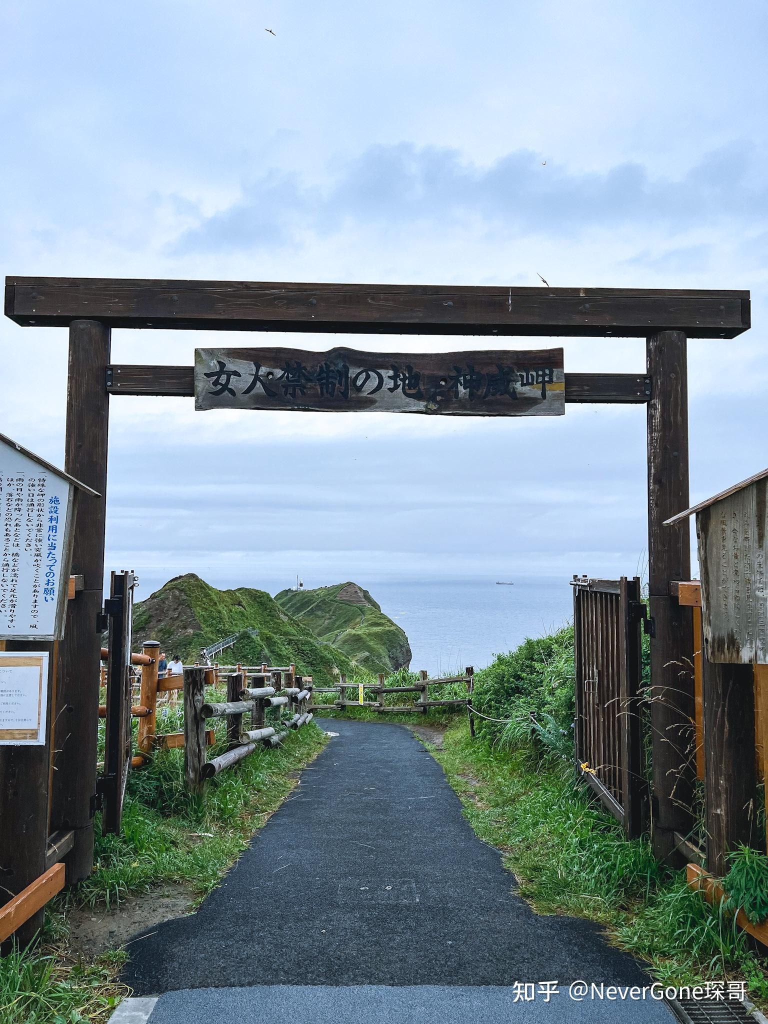 北海道的夏天:23年8月初的北海道照片记录