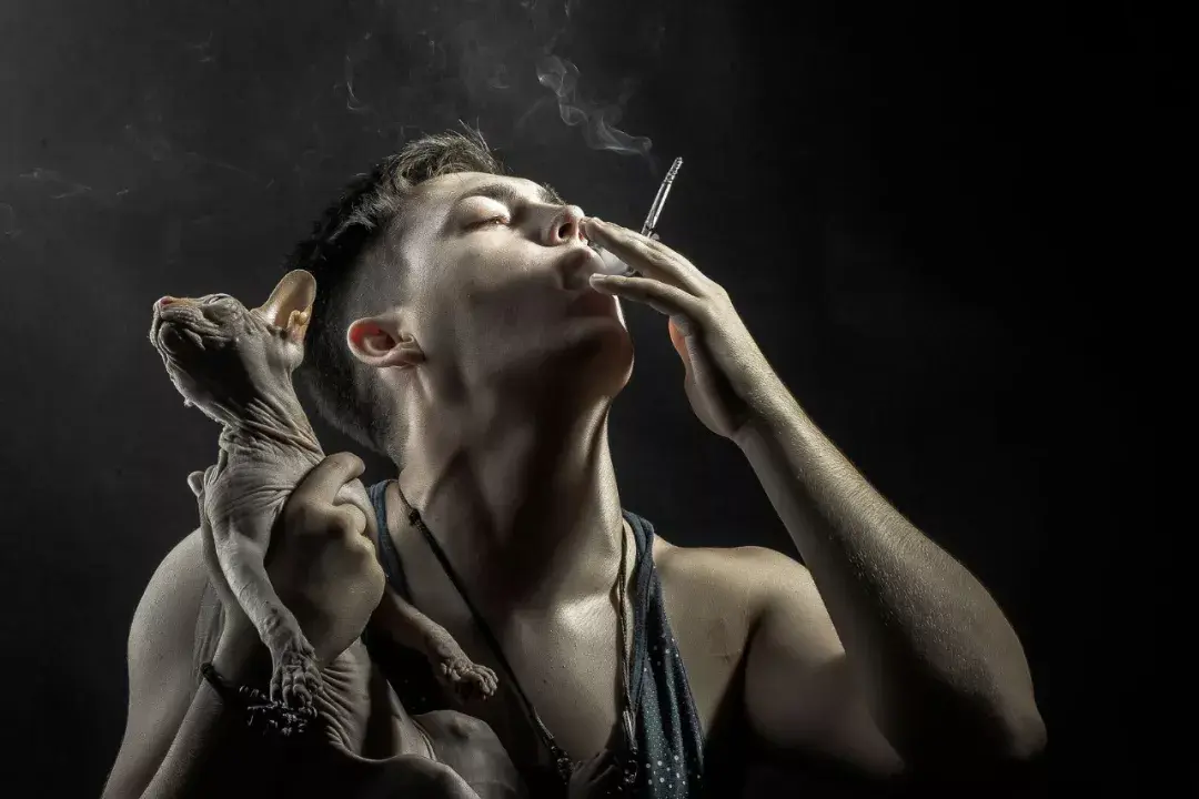 三手烟烟雾环绕中的猫咪杀手老烟枪请停止放毒