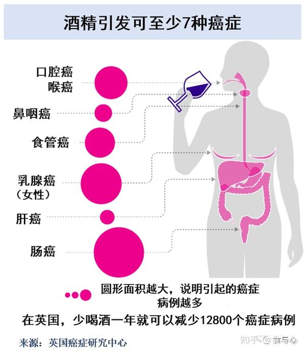 酒的科学5：为什么每个人醉酒的反应不一样？ - 知乎