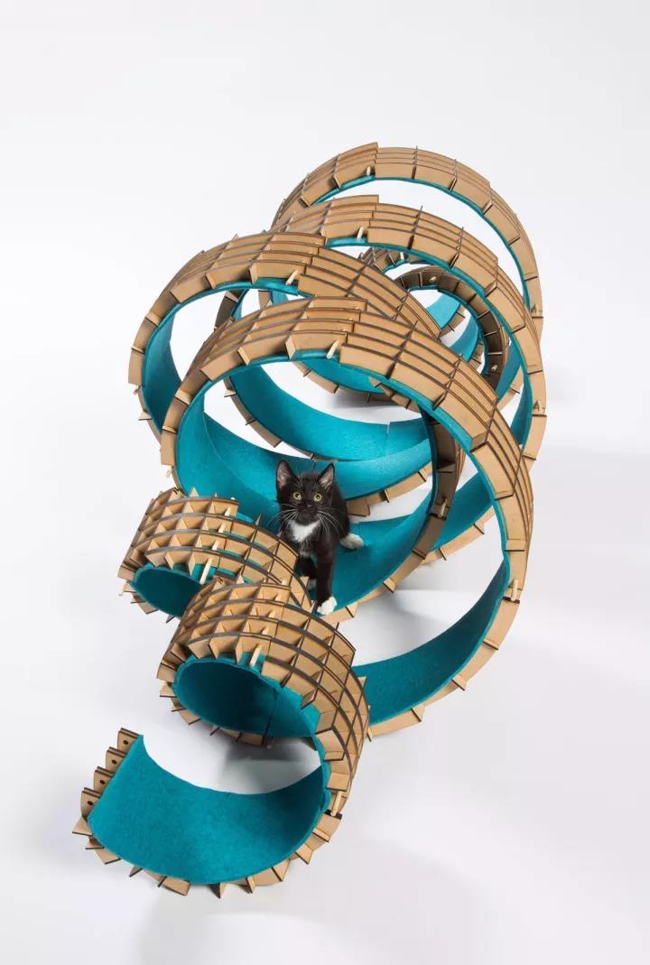 动物建筑师为洛杉矶流浪猫们设计了这些奇特的建筑丨洗眼打卡