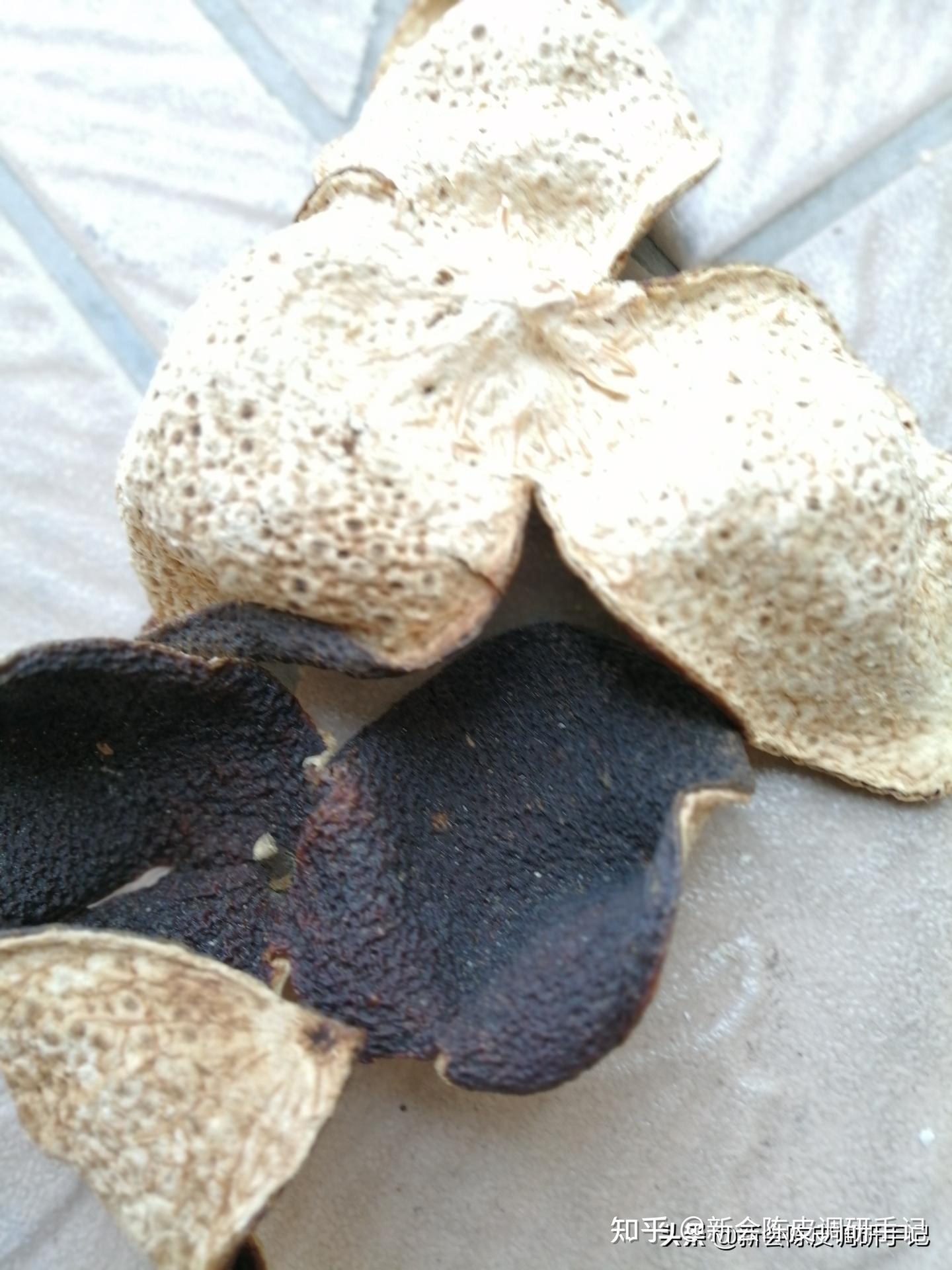 新会陈皮:“二红皮”和“大红皮”哪个更好? - 知乎