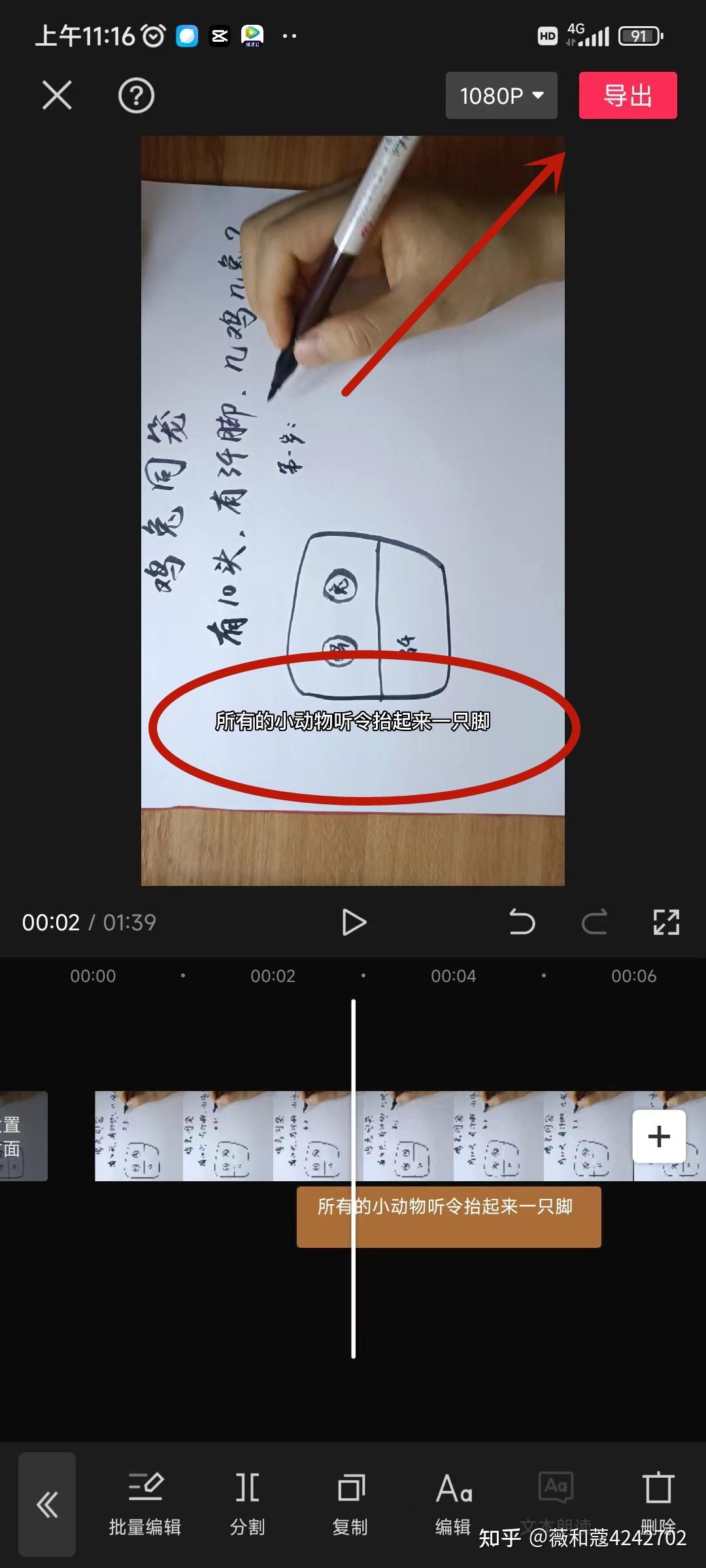 Movavi Video Suite v2001 中文直装版 吾爱破解 52pojiecn