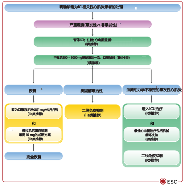 ESC 重磅发布：夏云龙教授解读《2022 ESC 肿瘤心脏病指南》亮点荟萃 - 知乎