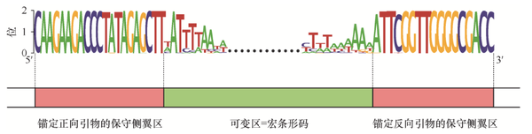 于细微处见大千世界——环境DNA - 知乎