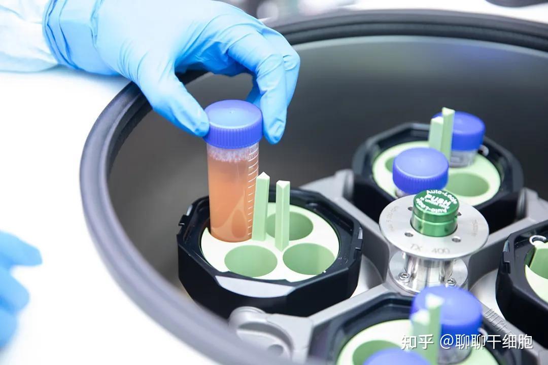 一篇文告诉你什么是种子细胞库! - 知乎