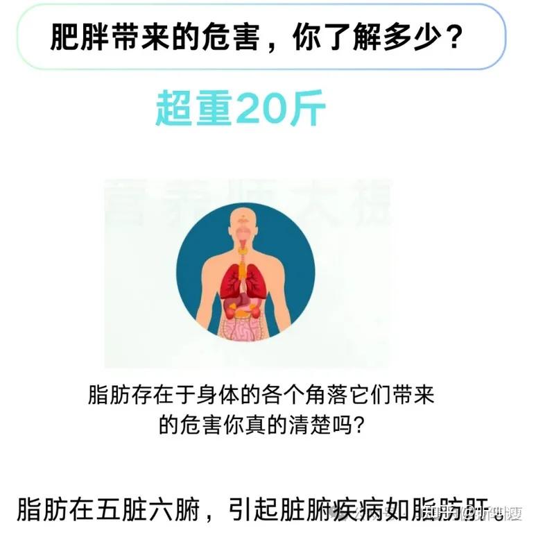 深度自测：你是虚胖 or 实胖？怎么减才更掉秤？ - 知乎