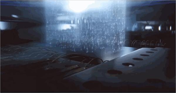 死之前看到的最后影像会停留在视网膜上 到底是传说还是真的 知乎