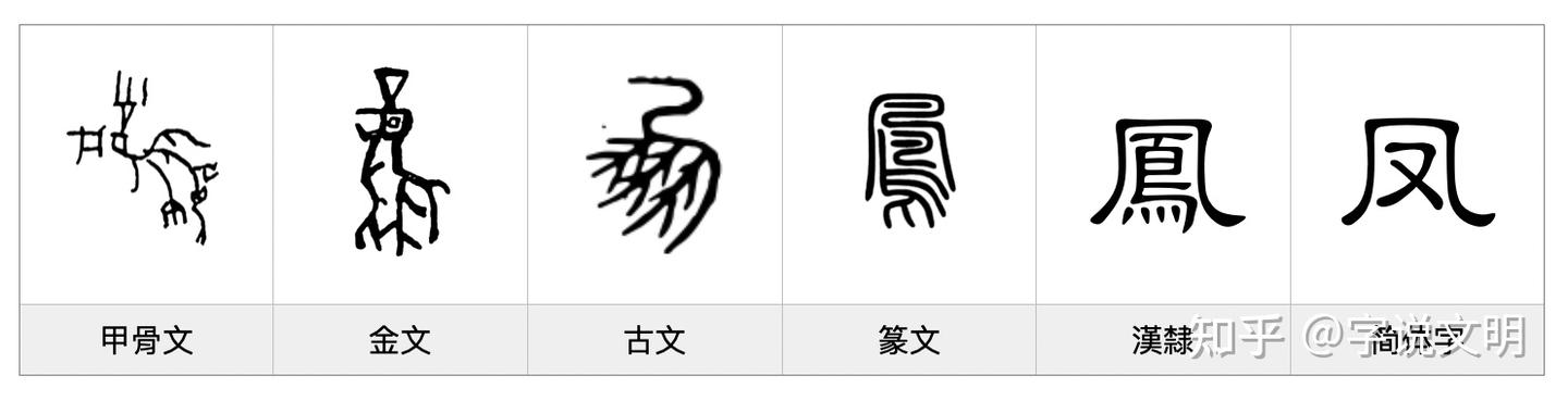 凤——每日一字·鸟部字 - 知乎
