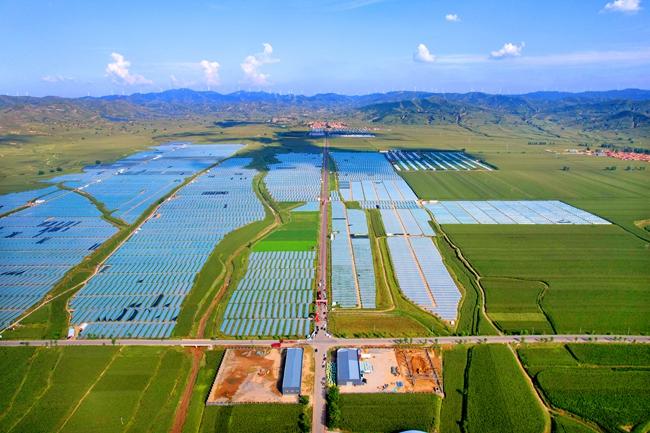 西烟镇2023年助销农产品活动正式启动