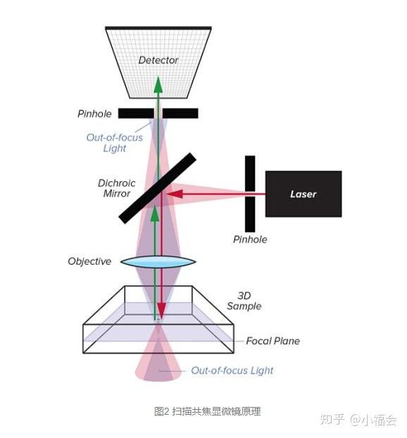 小孔成像六psf和共焦顯微鏡