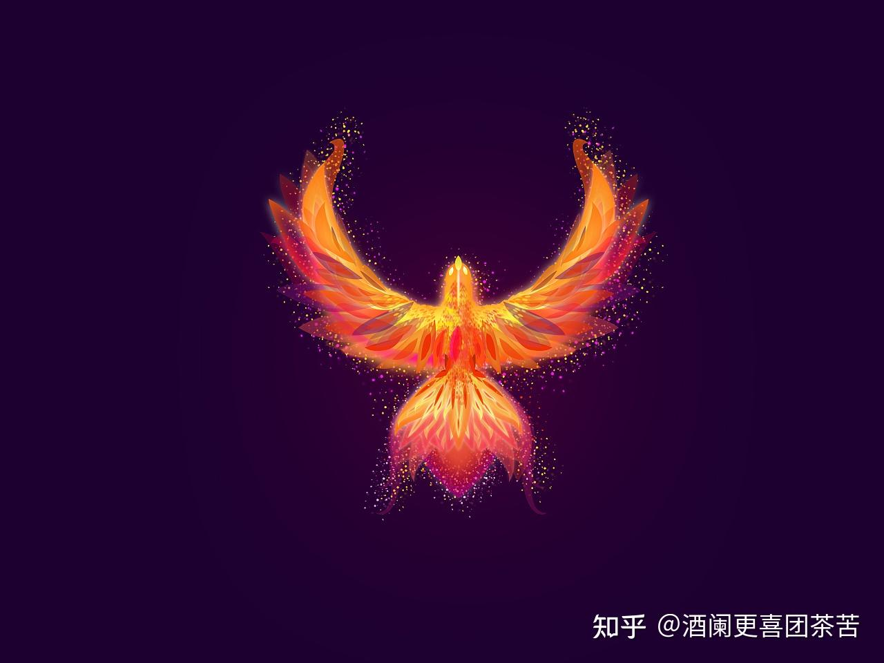 凤凰又名"五彩鸟""皇鸟