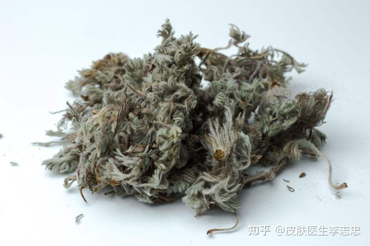 皮膚科常用藥——白鮮皮,居然能治這麼多皮膚病!附7個驗方 - 知乎