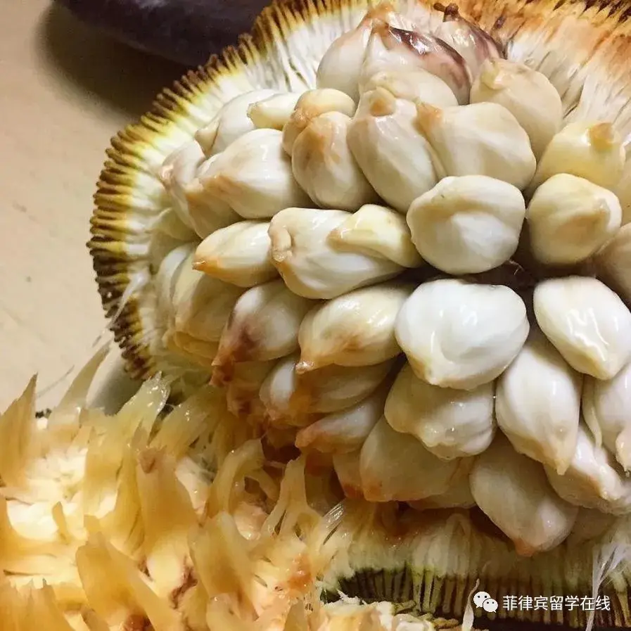 想要实现榴莲自由吗带你走进菲律宾榴莲之乡达沃市