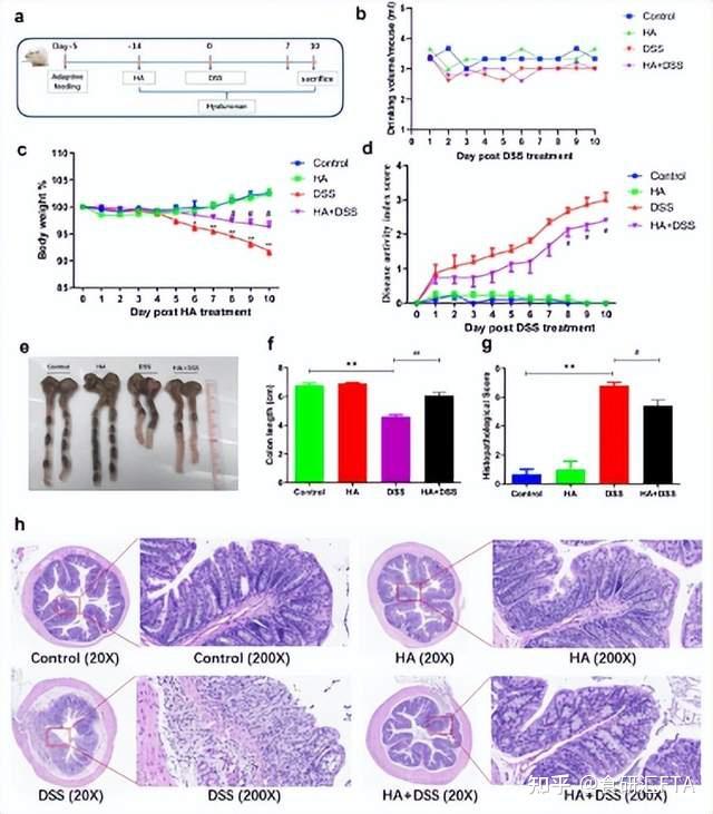 透明質酸鈉改變小鼠腸道微生物組組成和代謝產物,抵抗感染[3]華熙生物