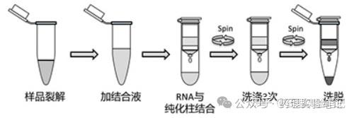 RNA提取方法对比,Trizol法、磁珠法、离心柱法到底该怎么选? - 知乎