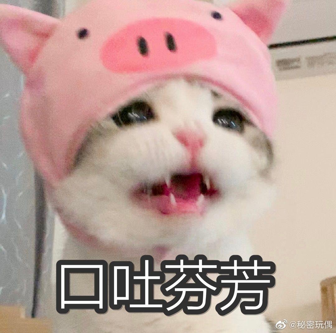 v2-dcaaebdfa3f1eb07881c4dc7a1de91eb_r.jpg