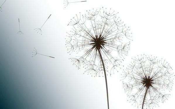 v2-dcb424645eed8aef22087fdc152c0845_1440w.jpg?source=172ae18b