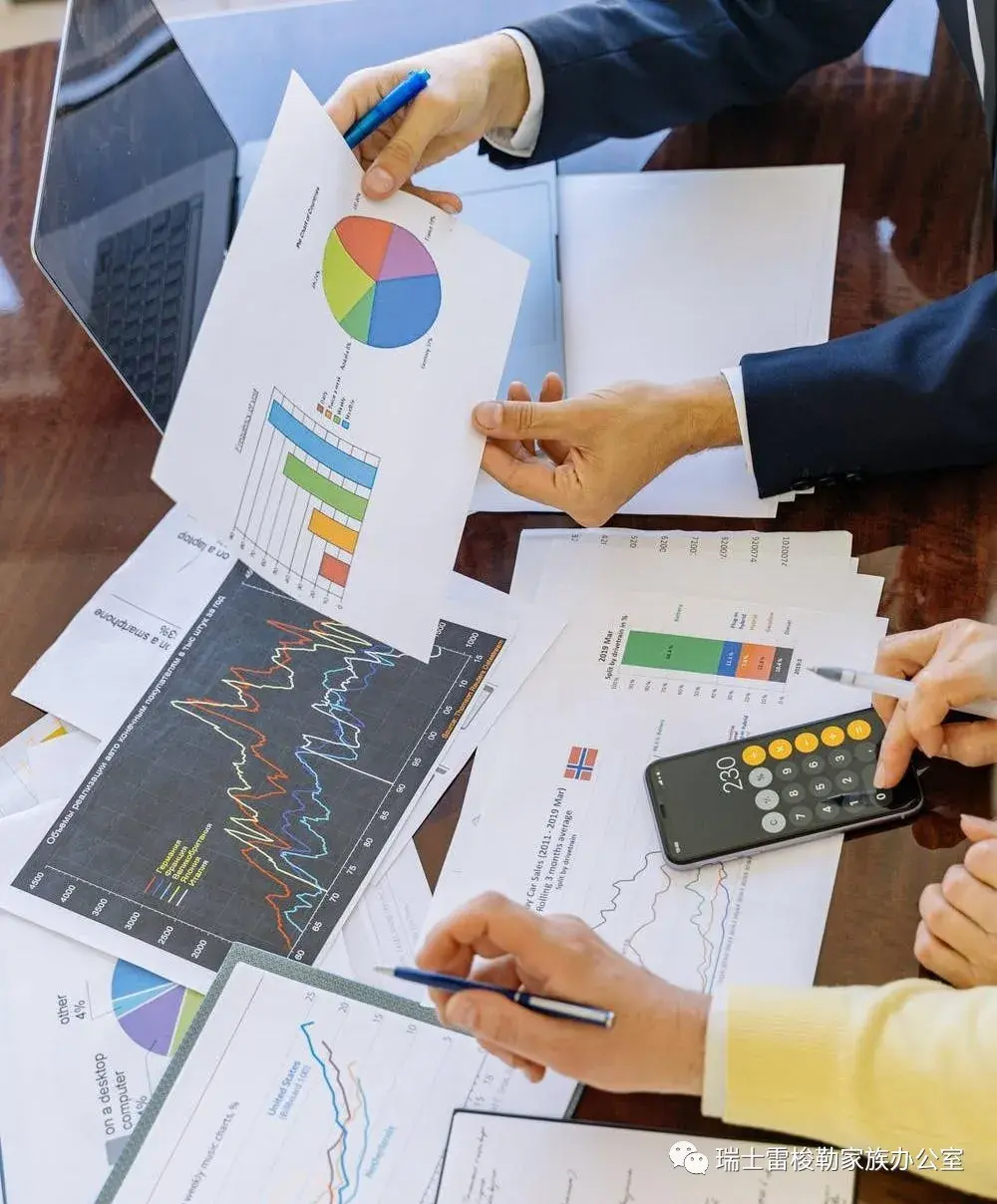 雷梭勒财务顾问服务旨在为到瑞士投资的外国企业提供各种优质投资项目