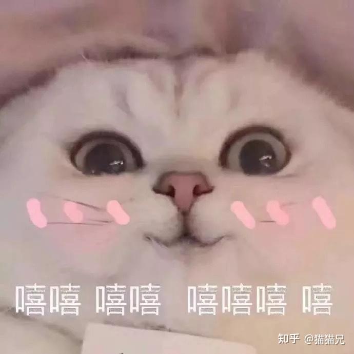 鬼谷八荒攻略流程(鬼谷八荒攻略心得(鬼谷八荒新手攻略【你想要的全都有】))  第12张