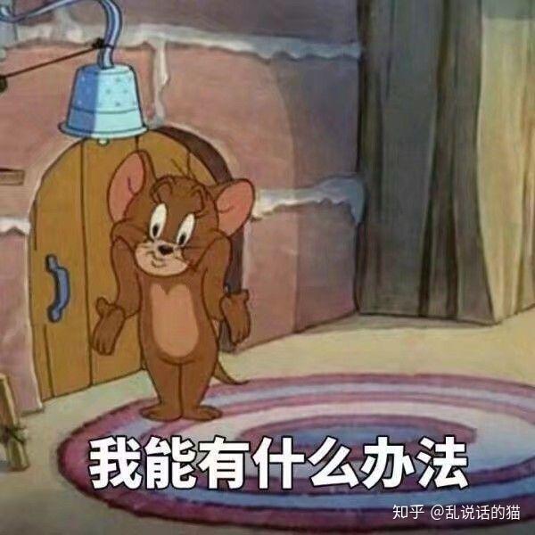 v2-dcbdf62e5af02a56d5280331a3798333_r.jpg