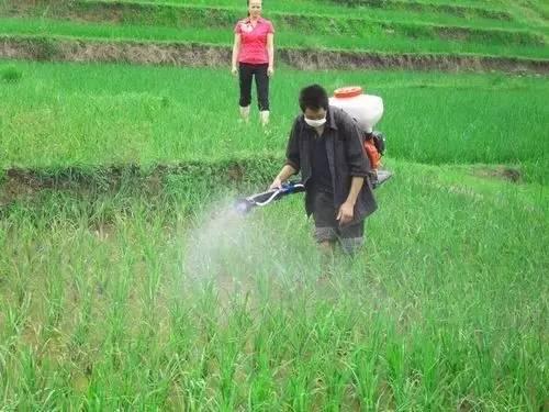 怎么才能变得阳光自信 v2-dcc5bb2a452b33cfa9a8daad9f0a0d8f_r.jpg