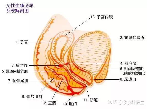 私密整形你是否正在面临这些难以启齿的问题不知所措
