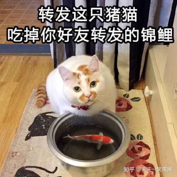 爆笑经典糗事冷笑话 - 知乎
