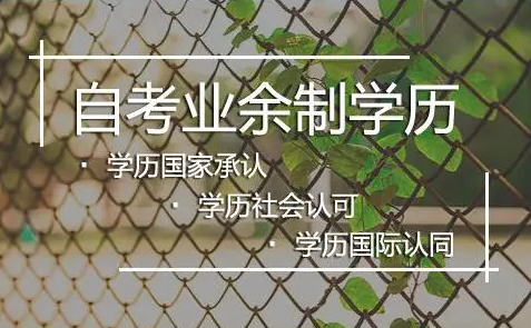 北京中大博睿 学历提升选什么专业提升比较好 知乎