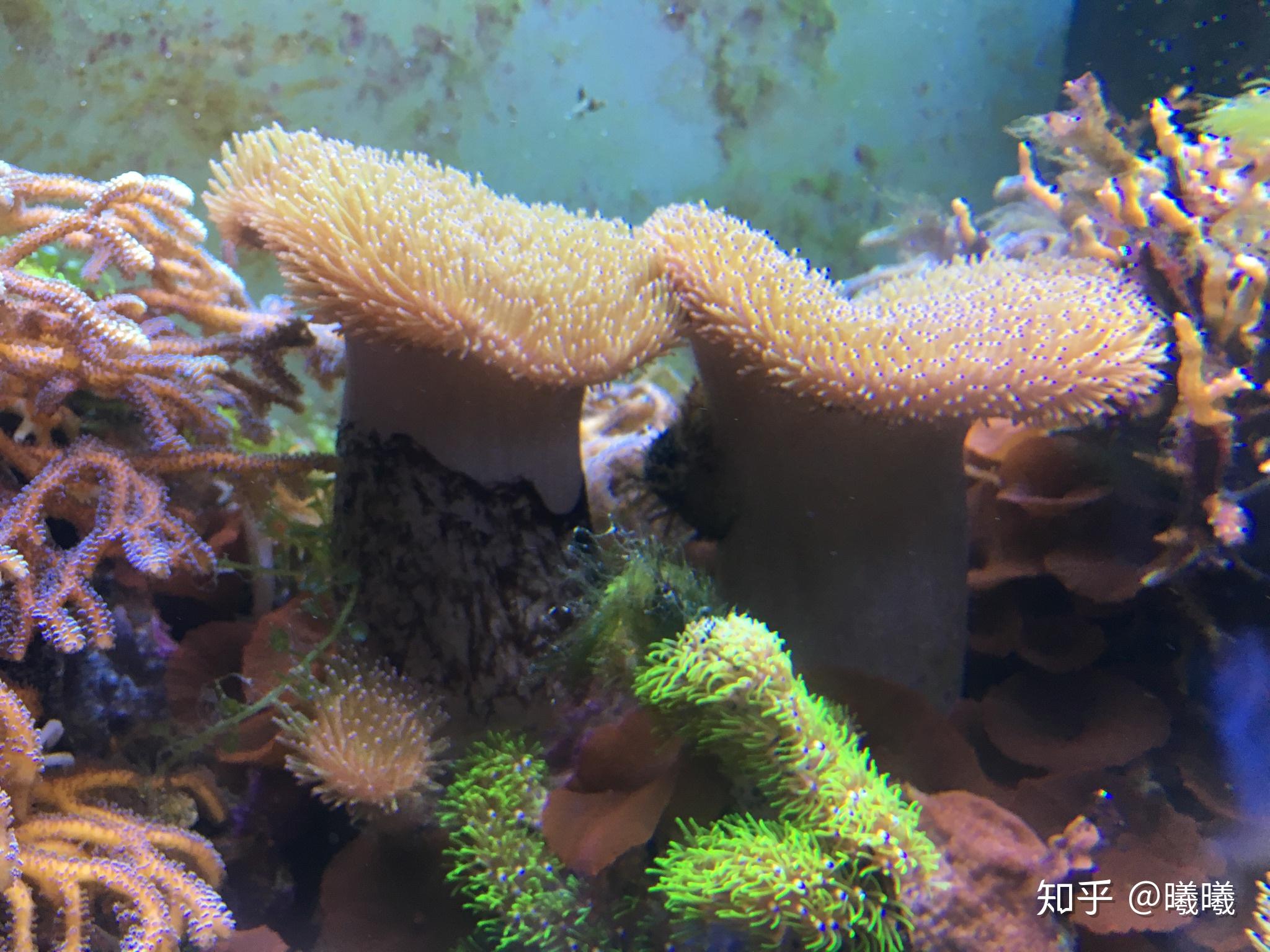 参与 2018 年中科院公众科学日的活动是怎样的