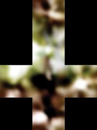 【GPU精粹与Shader编程】(二) 《GPU Gems 1》全书核心内容提炼总结 · 上篇