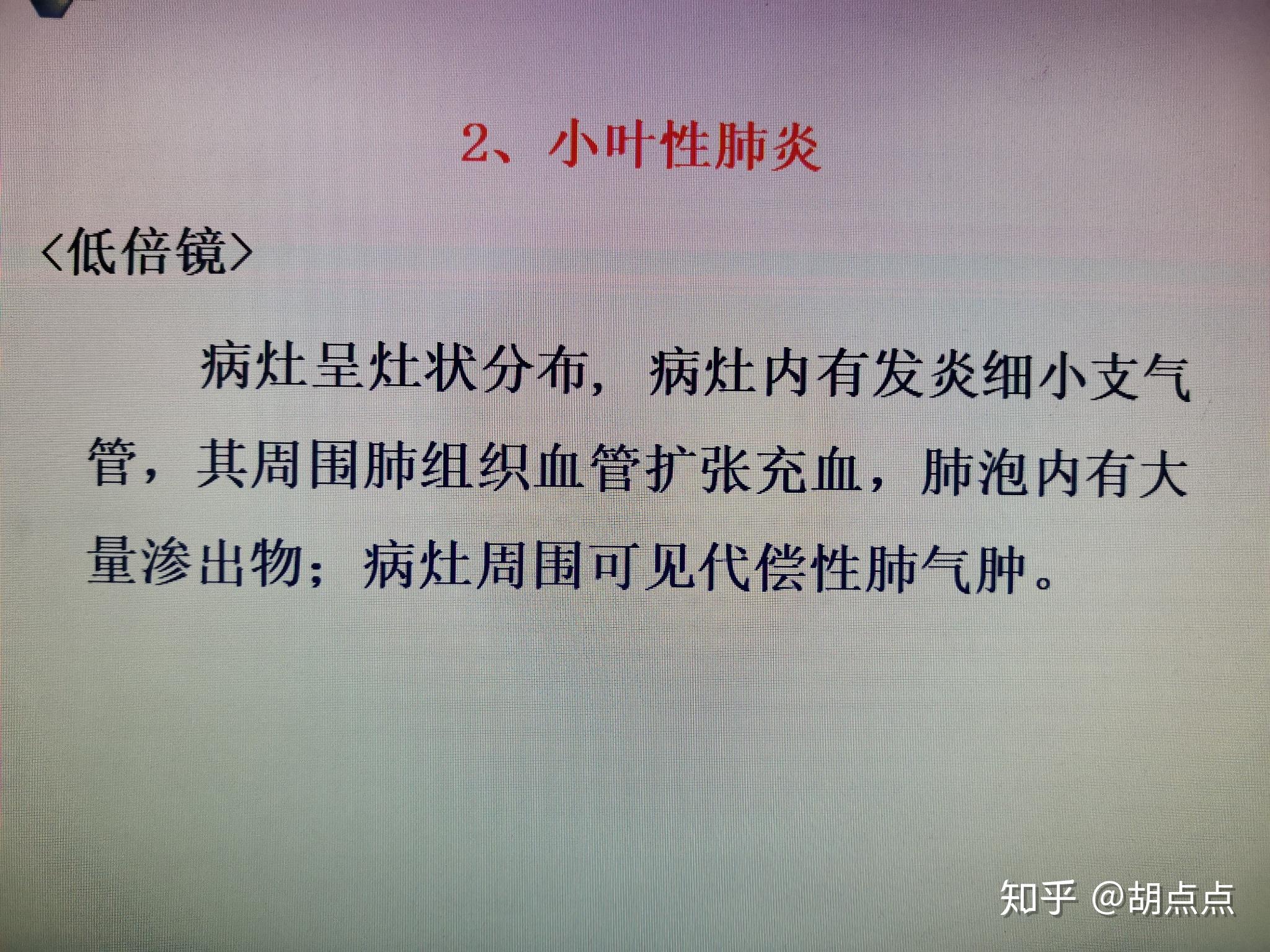 大葉性肺炎小葉性肺炎病理組織切片