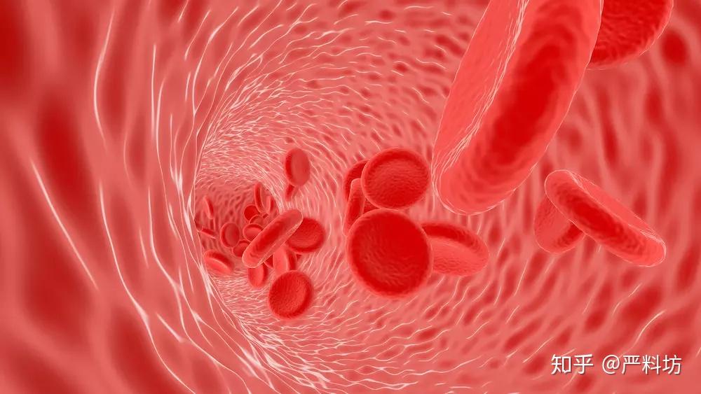 为什么会血液粘稠除了治疗自身能做什么