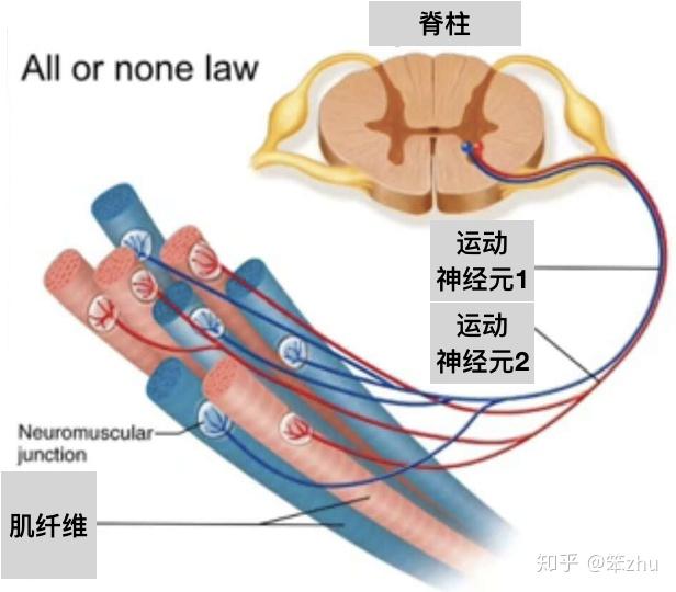 v2-dd130199e6ff9a877883135f33ffaa60_r.jpg