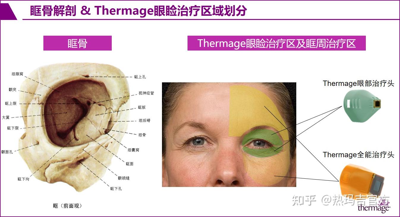 眶部解剖基础：热玛吉眼部专项抗衰第一期 - 知乎