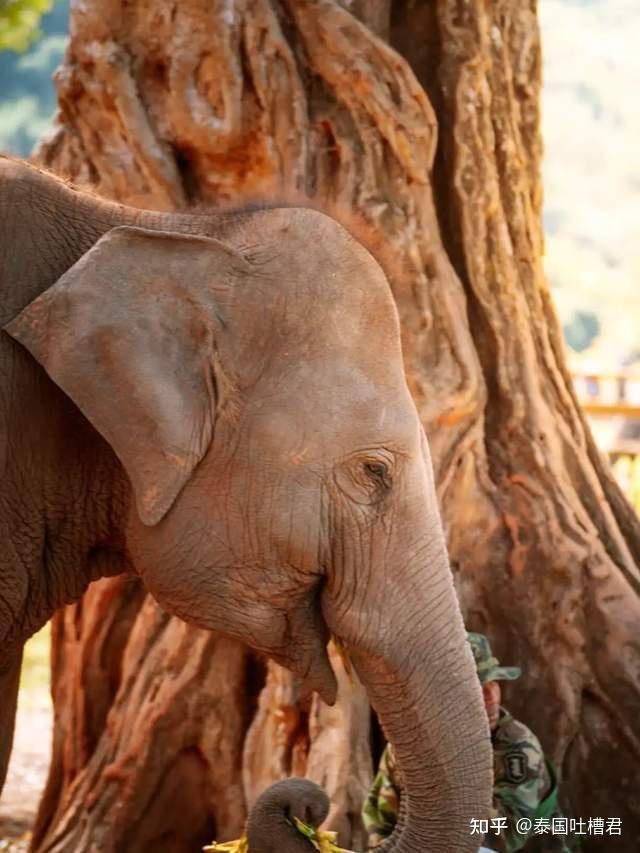 2023 泰国 10 大最佳旅游景点,第一次到泰国去哪里?玩什么?