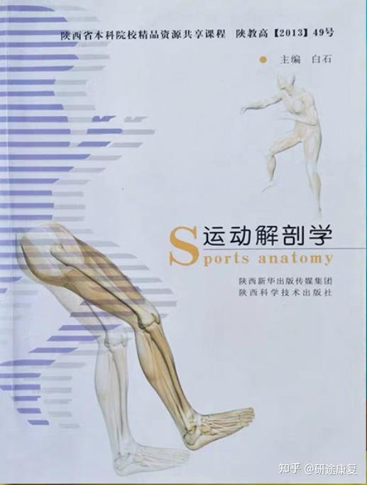 白石老师的《运动解剖学》↓西体专业课考察三本书的内容①白石老师的