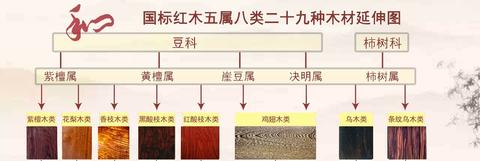 合和木缘:国标红木全解,红木5属8类29种木材图鉴!值得收藏 zhuanlan