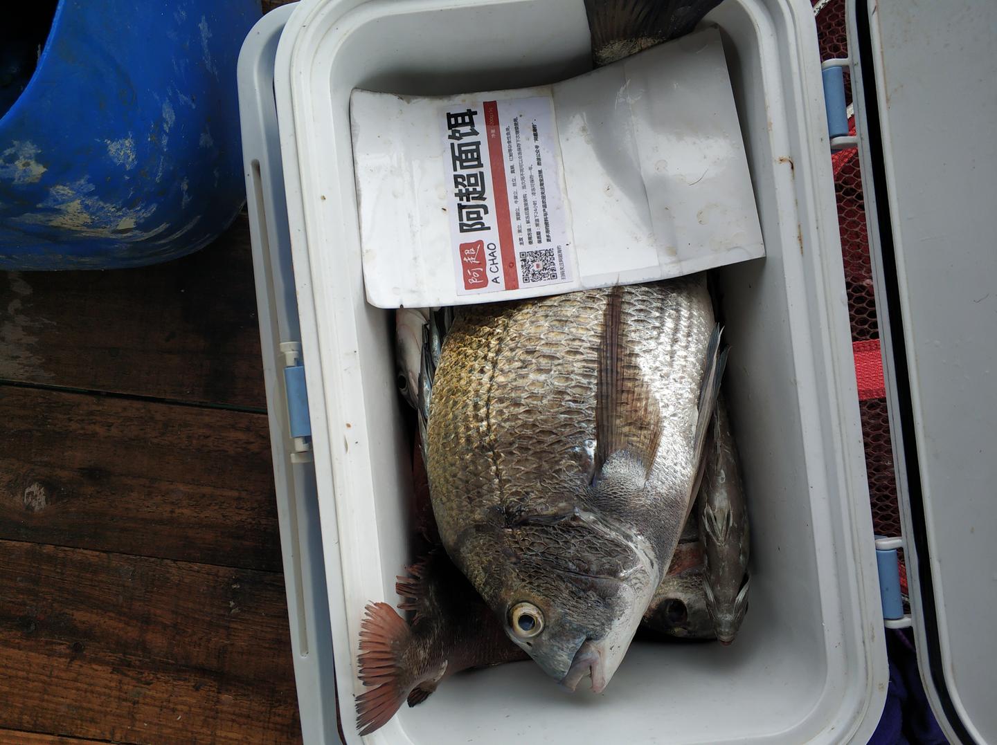 矶钓钓多深有诀窍吗 为什么相同位置别人能钓到自己却打龟 知乎