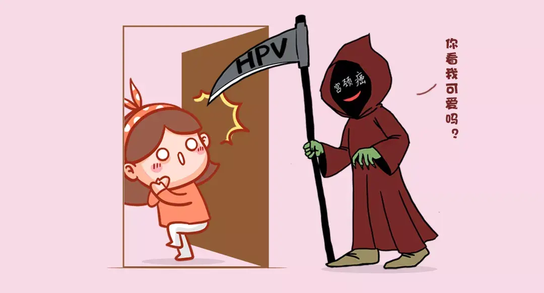 宫颈癌与hpv的关系