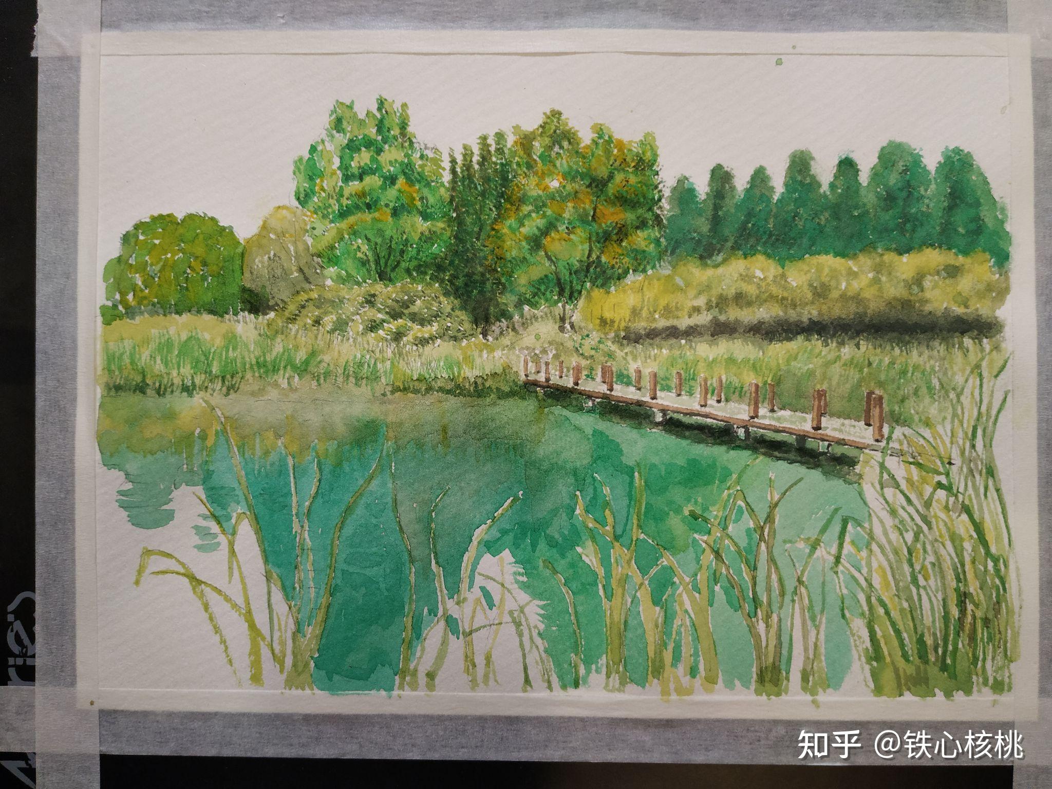 水彩滨水森林公园一角202138