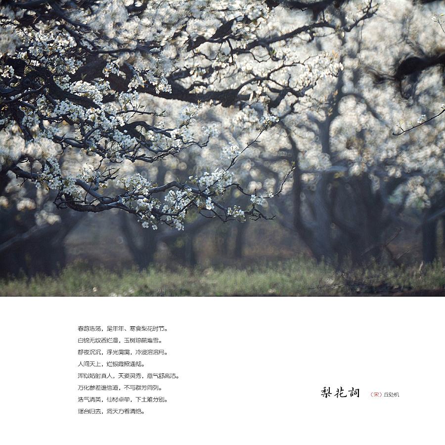 虚什么俗成语_成语故事简笔画