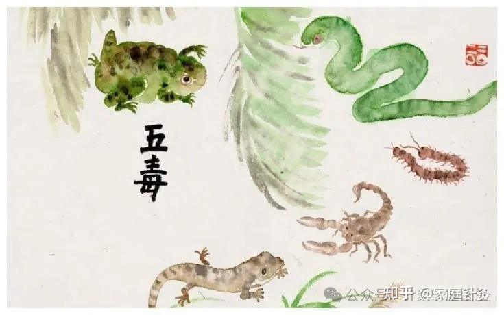 端午至,五毒出 | 中医“解毒方”护安康! - 知乎
