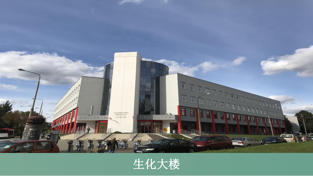 卢布林医科大学